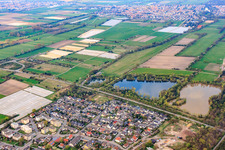Willow path in Haßloch in the state Rhineland-Palatinate, Germany