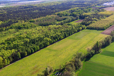 MSC model airfield Rülzheim in Rülzheim in the state Rhineland-Palatinate, Germany