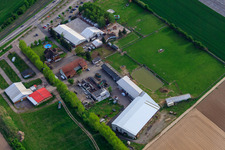 Adamshof after the fire in the Easter egg hall in Kandel in the state Rhineland-Palatinate, Germany