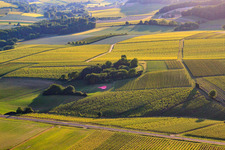 Aerial view of Balloon landing on the B38 in the district Ingenheim in Billigheim-Ingenheim in the state Rhineland-Palatinate, Germany