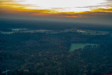 Bienwald in Kandel in the state Rhineland-Palatinate, Germany