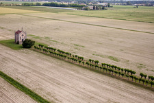 Aerial photograpy of Alley to the chapel near Cesarolo in Cesarolo in Veneto, Italy