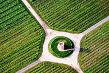 Structure of the observation tower Winzerturm in the wine yards in Hochstadt (Pfalz) in the state Rhineland-Palatinate
