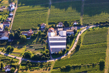Oblique view of Emil Wissing Winery GmbH in Oberotterbach in the state Rhineland-Palatinate, Germany