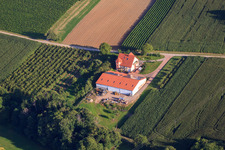 Winery Heinz & Thomas Beck in Oberotterbach in the state Rhineland-Palatinate, Germany
