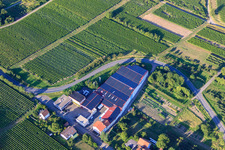 Emil Wissing Winery GmbH in Oberotterbach in the state Rhineland-Palatinate, Germany from above