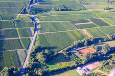 Tennis Club TCO Oberotterbach and SV Oberotterbach 1950 eV in Dörrenbach in the state Rhineland-Palatinate, Germany