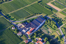 Emil Wissing Winery GmbH in Oberotterbach in the state Rhineland-Palatinate, Germany out of the air
