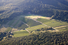 Aerial photograpy of Pleisweiler-Oberhofen in the state Rhineland-Palatinate, Germany