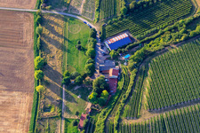 Ranch Herxe in Herxheim bei Landau in the state Rhineland-Palatinate, Germany from above