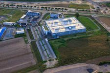New building DBK David + Baader GmbH in Rülzheim in the state Rhineland-Palatinate, Germany seen from a drone