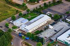 In the wooded areas in Landau in der Pfalz in the state Rhineland-Palatinate, Germany