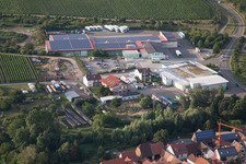 Aerial photograpy of Adam Theis GmbH - Fresh vegetables since 1875 in the district Niederhochstadt in Hochstadt in the state Rhineland-Palatinate, Germany