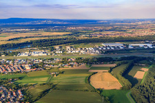 Airport Speyer from the west in Speyer in the state Rhineland-Palatinate, Germany