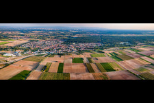 City panorama from the north in Rülzheim in the state Rhineland-Palatinate, Germany
