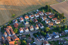 Waldsr in Herxheimweyher in the state Rhineland-Palatinate, Germany