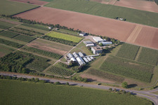 Bird's eye view of Dossenheim in the state Baden-Wuerttemberg, Germany