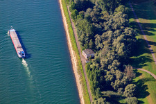 Cargo ship on the Rhine at the Roischnook in Germersheim in the state Rhineland-Palatinate, Germany