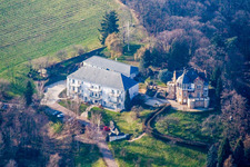 Yoga La Douce in Weinstr in the district Pleisweiler in Bad Bergzabern in the state Rhineland-Palatinate, Germany