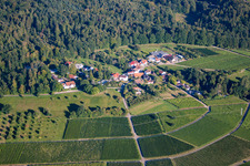 Kopp Winery in the district Ebenung in Sinzheim in the state Baden-Wuerttemberg, Germany
