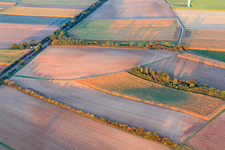 Level crossing for field path between farms and Minfeld in Minfeld in the state Rhineland-Palatinate, Germany