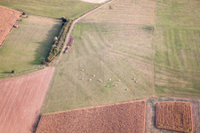 Uhrwiller in the state Bas-Rhin, France viewn from the air