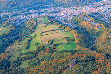 Asselststein climbing rock in the Palatinate Forest from the south in Annweiler am Trifels in the state Rhineland-Palatinate, Germany