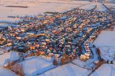 Village overview from the west in winter with snow in Minfeld in the state Rhineland-Palatinate, Germany