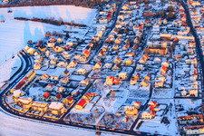 Drone recording of On the high trail in winter with snow in Kandel in the state Rhineland-Palatinate, Germany