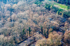 Fun Forest: Adventure Park Kandel in Kandel in the state Rhineland-Palatinate, Germany