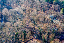 Aerial view of Fun Forest: Adventure Park Kandel in Kandel in the state Rhineland-Palatinate, Germany