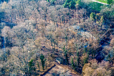 Aerial photograpy of Fun Forest: Adventure Park Kandel in Kandel in the state Rhineland-Palatinate, Germany