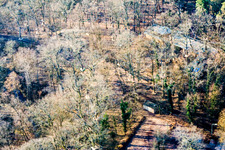 Climbing park Fun Forest GmbH AbenteuerPark Kandel in Kandel in the state Rhineland-Palatinate