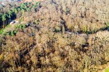 Fun Forest: Adventure Park Kandel in Kandel in the state Rhineland-Palatinate, Germany from above