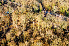 Fun Forest: Adventure Park Kandel in Kandel in the state Rhineland-Palatinate, Germany from the plane
