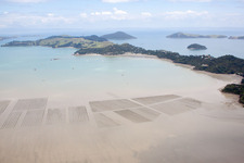 Coromandel in the state Waikato, New Zealand out of the air