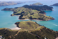 Drone image of District Wyuna Bay in Coromandel in the state Waikato, New Zealand