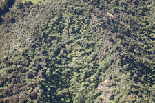 Coromandel in the state Waikato, New Zealand viewn from the air