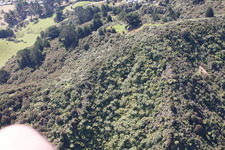 Drone recording of Coromandel in the state Waikato, New Zealand