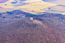 Remains of the walls of the former castle ruins Straufhain in the district Seidingstadt in Straufhain in the state Thuringia, Germany
