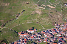 Vineyard, above the castle in the district Neuweier in Baden-Baden in the state Baden-Wuerttemberg, Germany