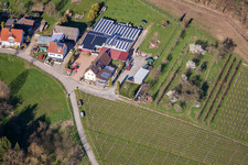 Aerial photograpy of Kopp Winery in the district Ebenung in Sinzheim in the state Baden-Wuerttemberg, Germany
