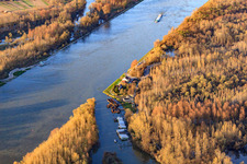 Aerial photograpy of Mouth of the Auer Altrhein into the Rhine in Au am Rhein in the state Baden-Wuerttemberg, Germany