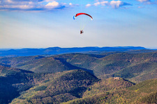 About Neuscharfeneck Castle in Flemlingen in the state Rhineland-Palatinate, Germany