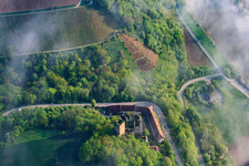 Steep vineyard slope above Ehrenberg Castle at the Gäßnerklinge in Wolken in the district Heinsheim in Bad Rappenau in the state Baden-Wuerttemberg, Germany