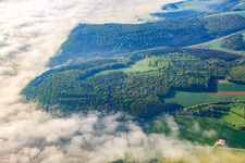 Fog in the Tauber Valley in Tauberbischofsheim in the state Baden-Wuerttemberg, Germany