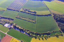 Fish pond at Grundgraben in Kleinrinderfeld in the state Bavaria, Germany