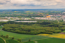 Spitalholz near Gochsheim in Schweinfurt in the state Bavaria, Germany
