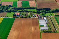 Nursery with greenhouses at Otterbach in Vollmersweiler in the state Rhineland-Palatinate, Germany