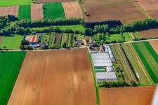 Aerial view of Nursery with greenhouses at Otterbach in Vollmersweiler in the state Rhineland-Palatinate, Germany
